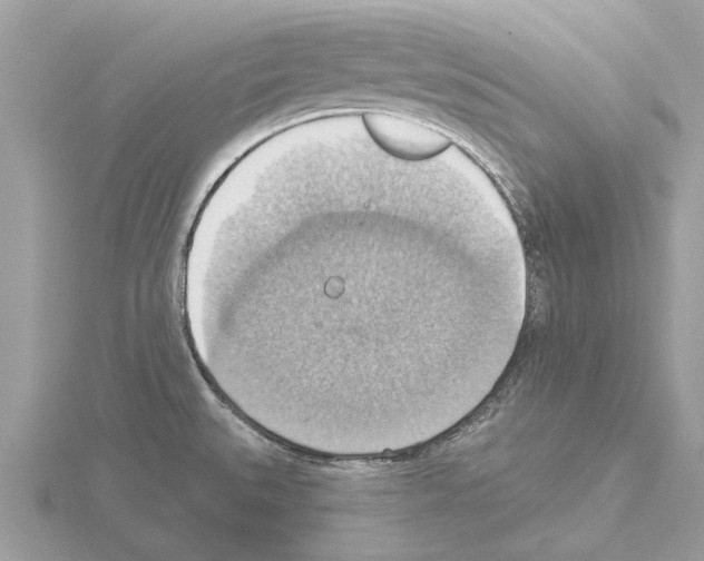 X0000115031527200912071037