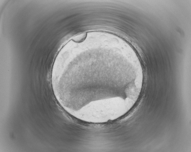 X0000115031529200912071037