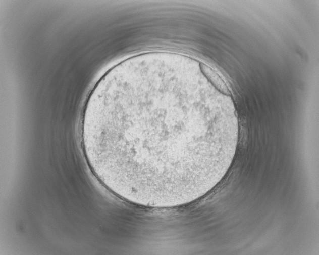 X0000115031531200912071037