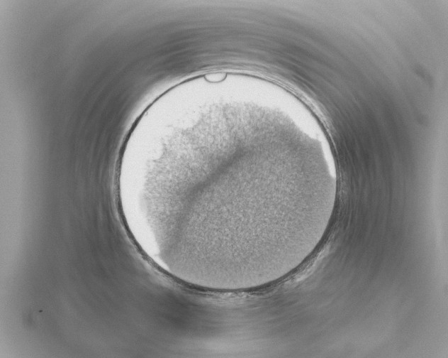 X0000115031533200912071038