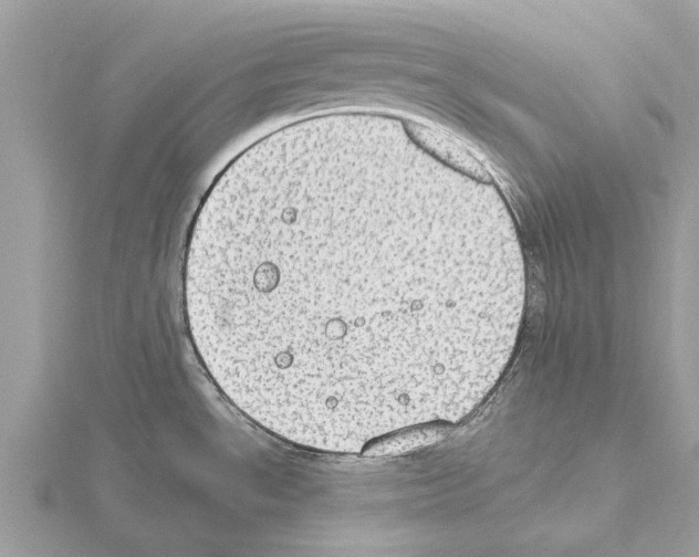 X0000115031534200912071038