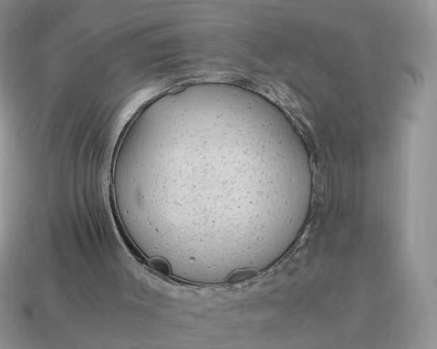 X0000115040003200911091414