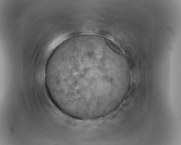 X0000115040005200911091414
