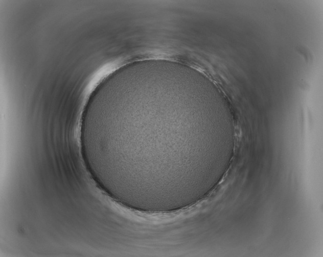 X0000115040006200911091414