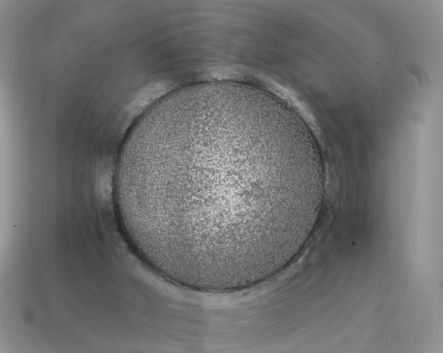 X0000115040010200911091414