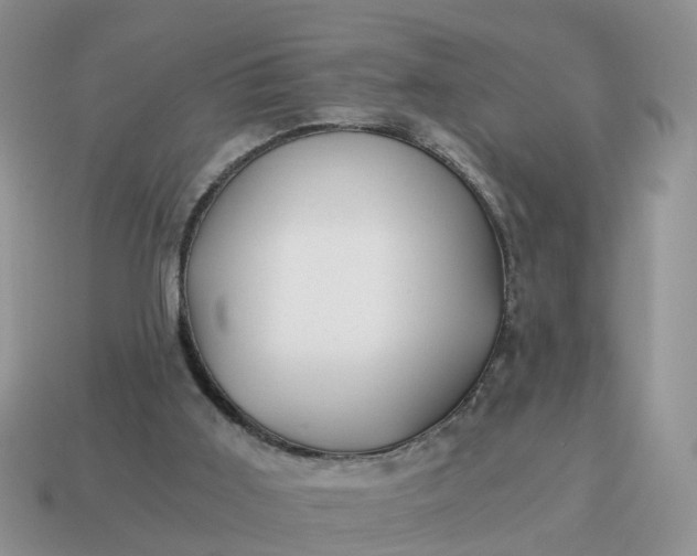 X0000115040011200911091414