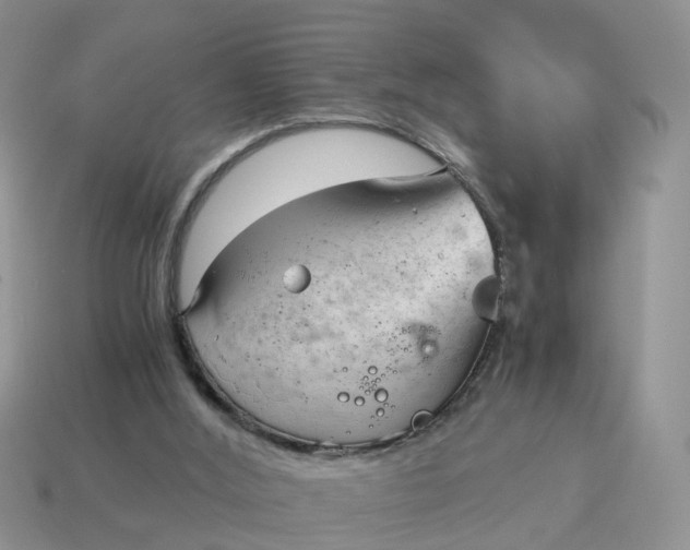 X0000115040012200911091414
