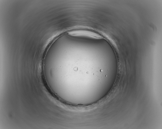 X0000115040015200911091414