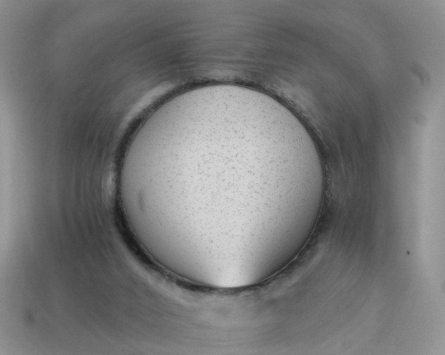 X0000115040016200911091414