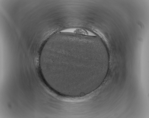 X0000115040017200911091414