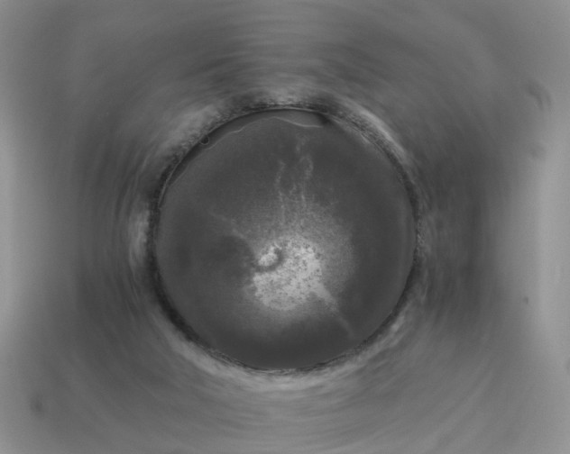 X0000115040018200911091414