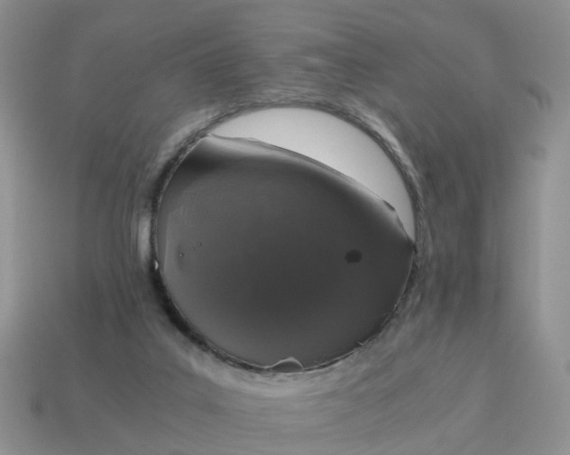 X0000115040019200911091414