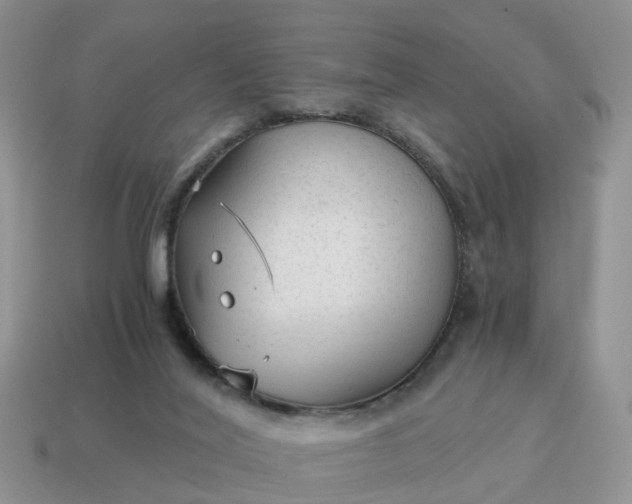 X0000115040020200911091414
