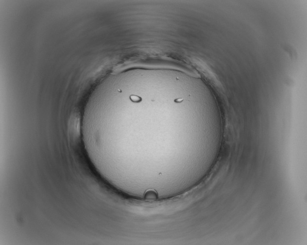 X0000115040021200911091414