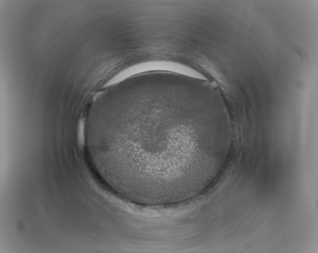 X0000115040022200911091414