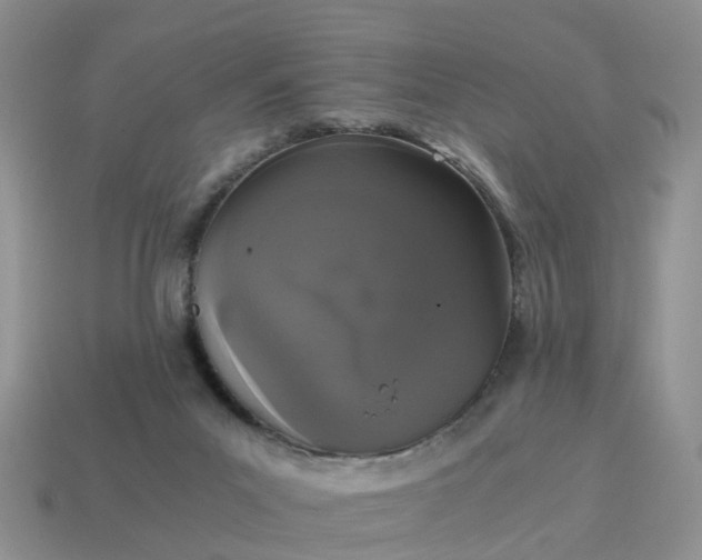 X0000115040023200911091414