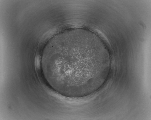 X0000115040026200911091414