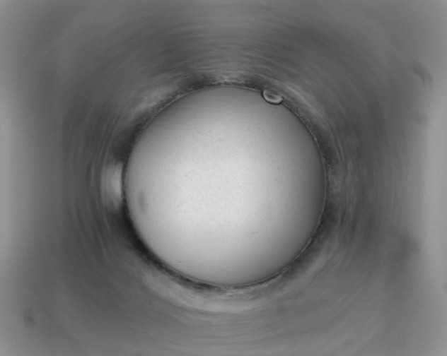 X0000115040028200911091414