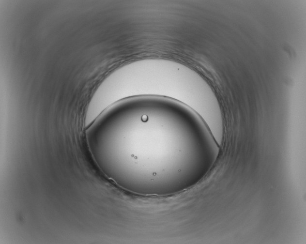 X0000115040029200911091414