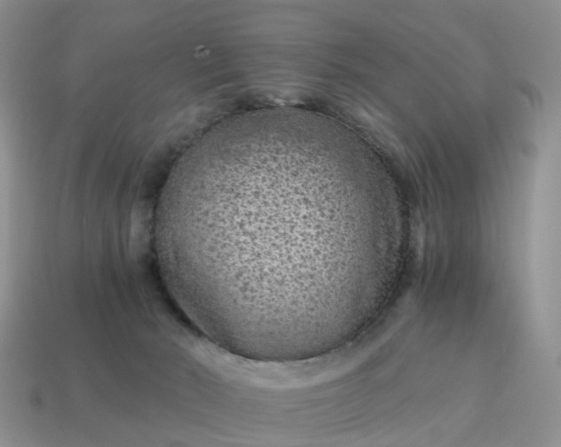 X0000115040030200911091414