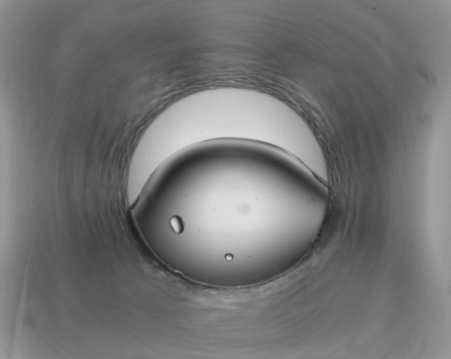 X0000115040033200911091414