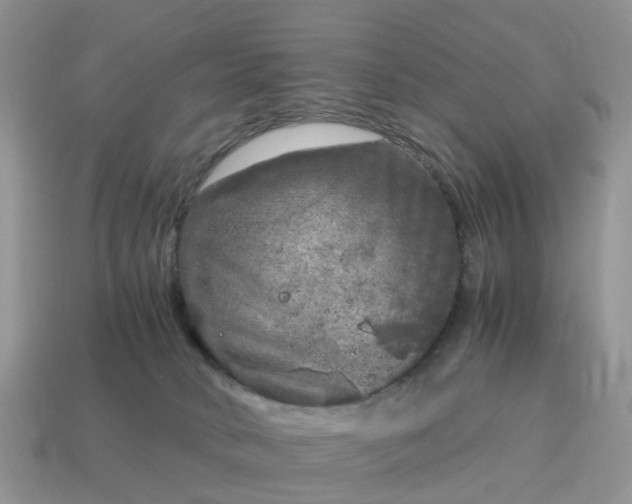 X0000115040034200911091414