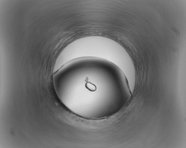 X0000115040035200911091414