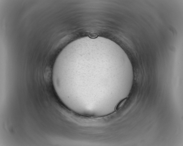X0000115040036200911091414