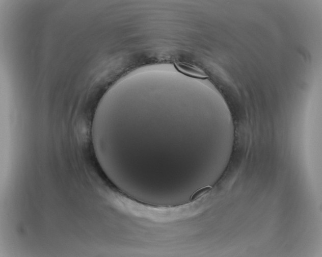 X0000115040039200911091414