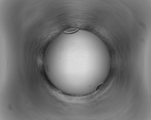 X0000115040040200911091414