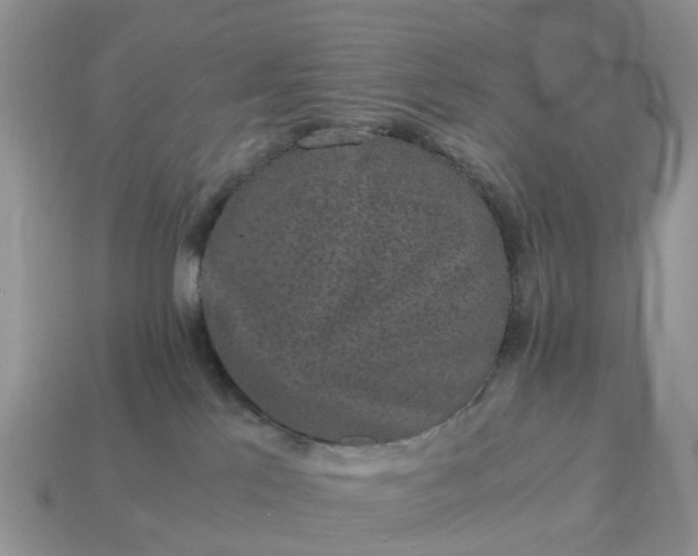 X0000115040041200911091414