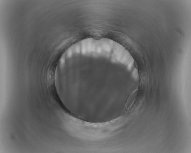 X0000115040043200911091414