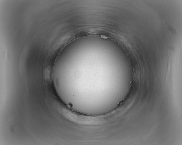 X0000115040044200911091414