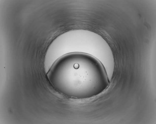X0000115040045200911091414