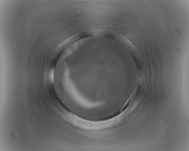 X0000115040047200911091414
