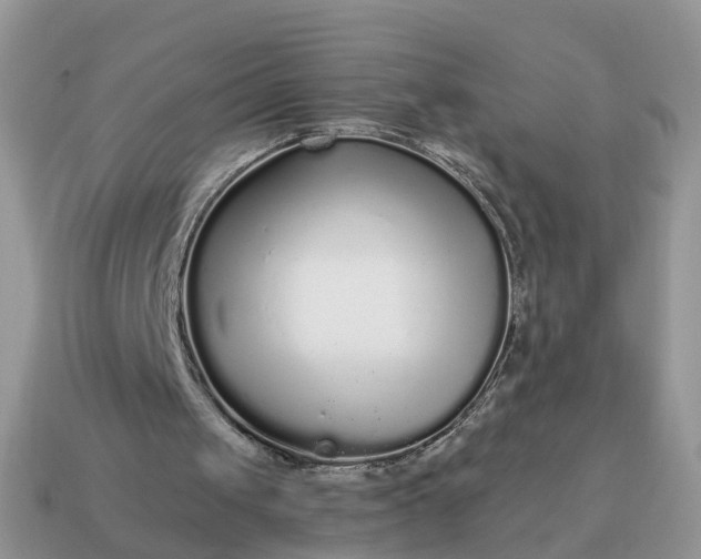 X0000115040049200911091413
