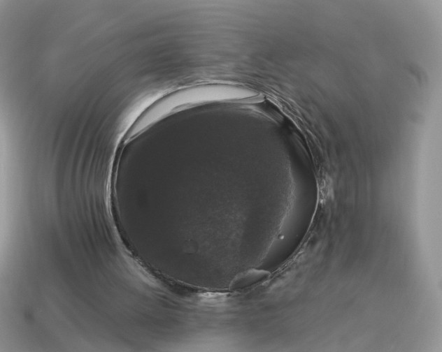 X0000115040052200911091413