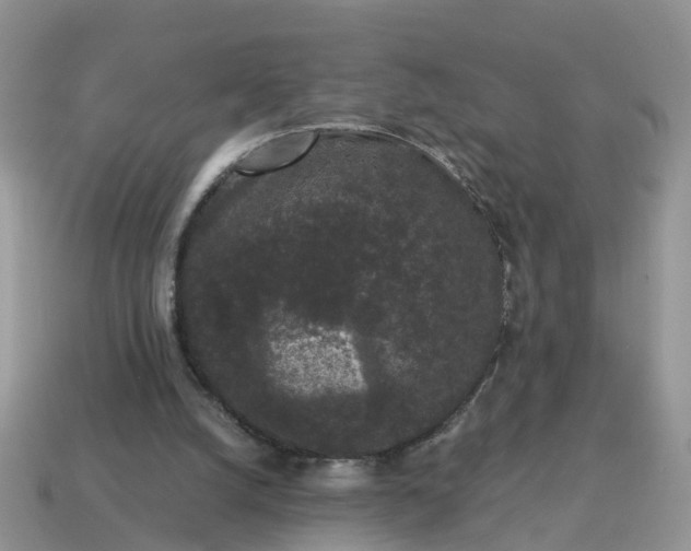 X0000115040056200911091413