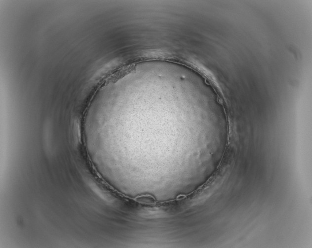 X0000115040061200911091413