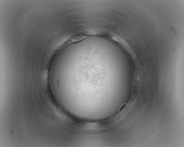 X0000115040066200911091413