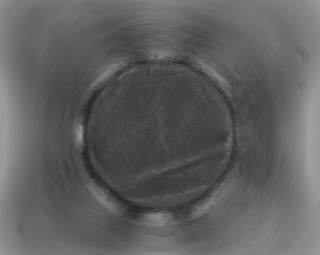 X0000115040067200911091413
