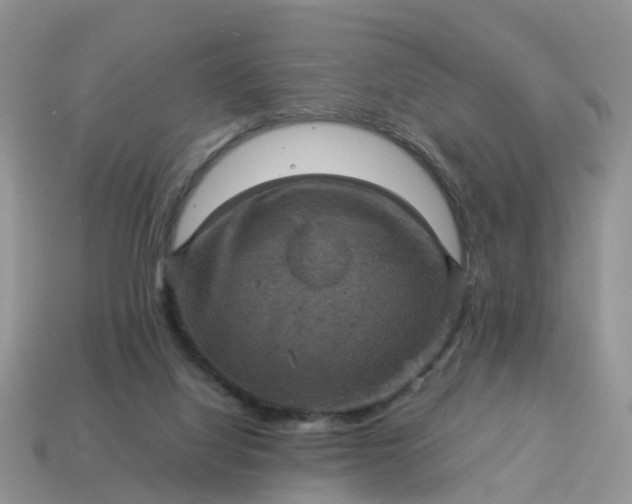 X0000115040068200911091413