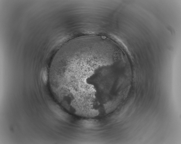X0000115040069200911091413
