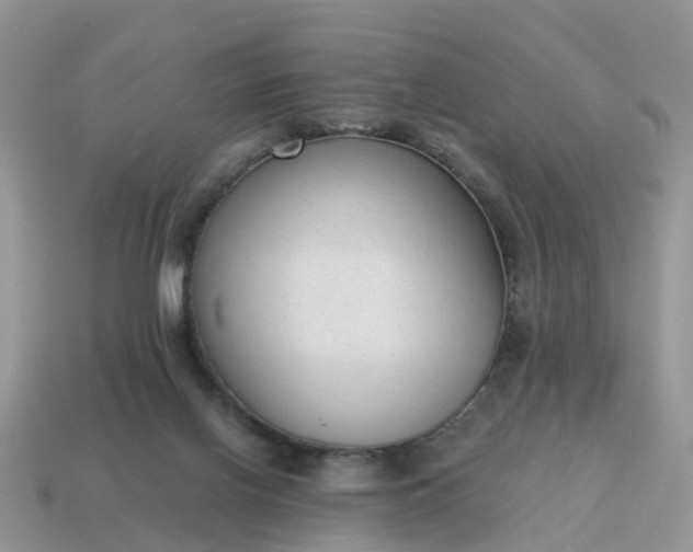 X0000115040070200911091413