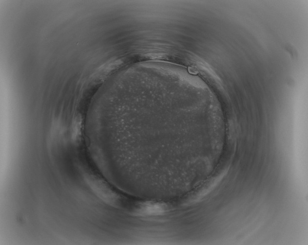 X0000115040073200911091413