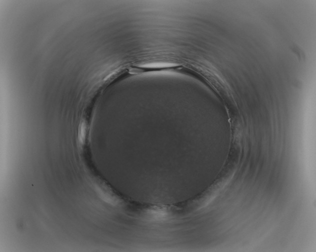 X0000115040076200911091413