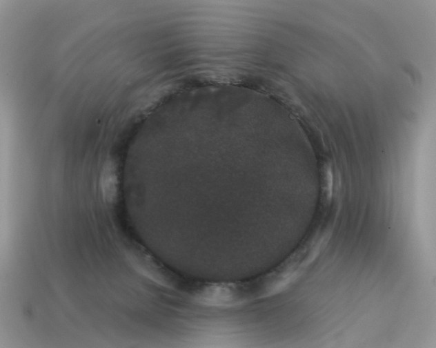 X0000115040080200911091413