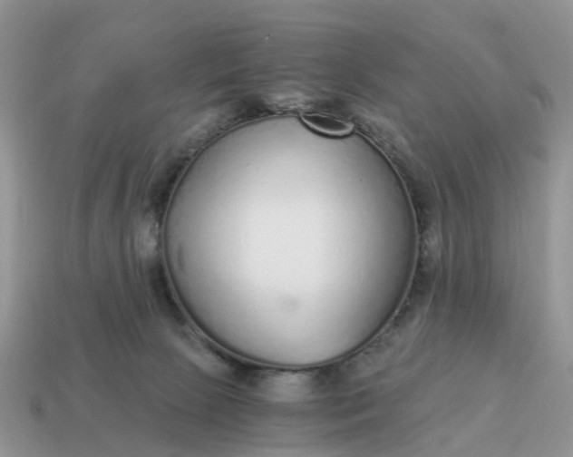 X0000115040081200911091413