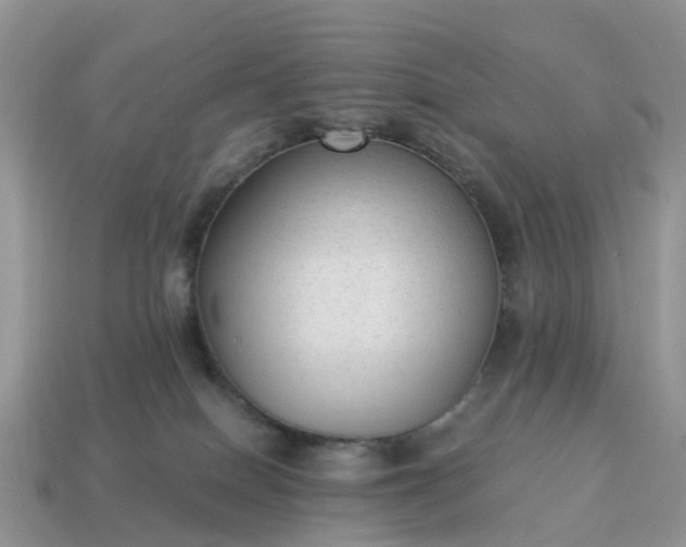 X0000115040086200911091413