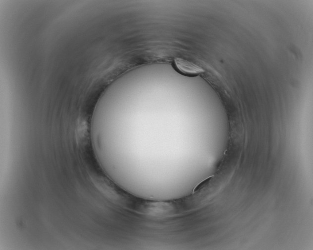 X0000115040087200911091413